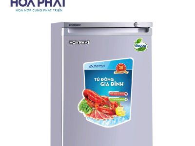 TỦ ĐÔNG ĐỨNG FUNIKI HÒA PHÁT 100 LÍT HCF-116P